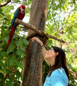 Animal Communication Ani Animal Communicator Animal Communication Ani Animal Communicator