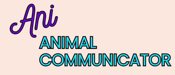 Ani Animal Communicator