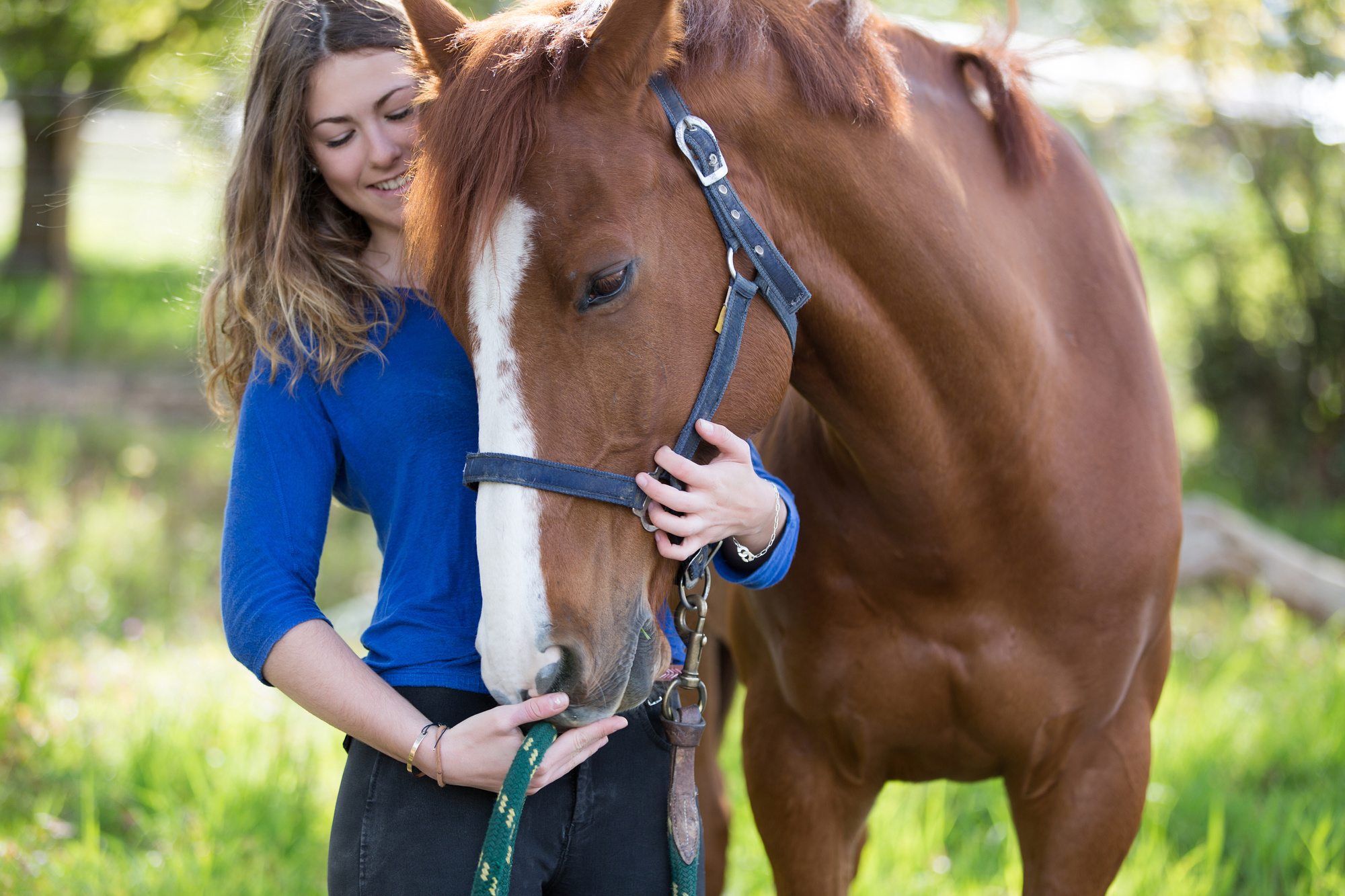 You are currently viewing Things You Can Learn About Your Horse From an Animal Communicator