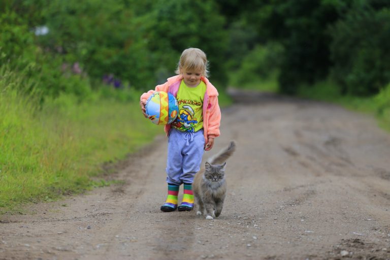 Animal Communicator