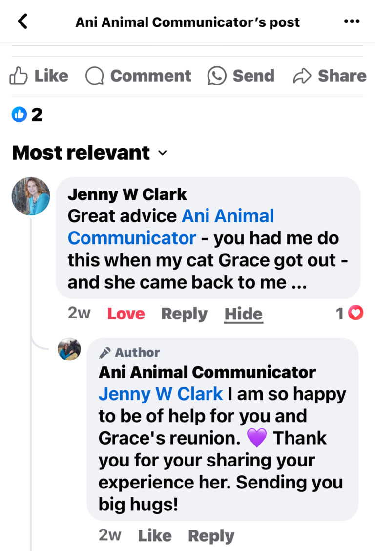 Lost Missing Pet Ani Animal Communicator