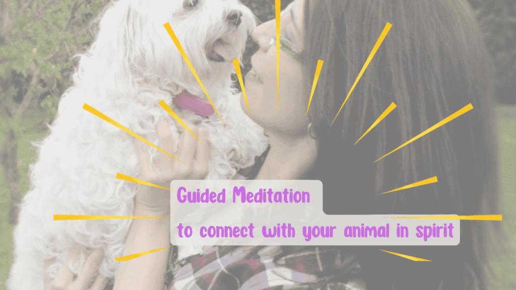 Guided Meditation